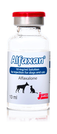 Alfaxan 10mg/ml