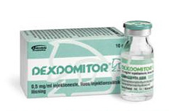 Dexdomitor