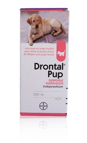 Drontal Pup
