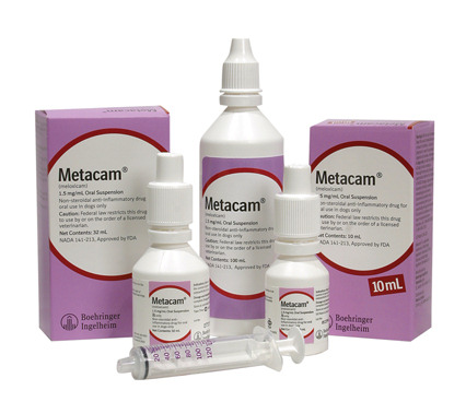 Corporation Tegenwerken fontein Metacam 1,5 mg/ml suspensie | bijsluiter