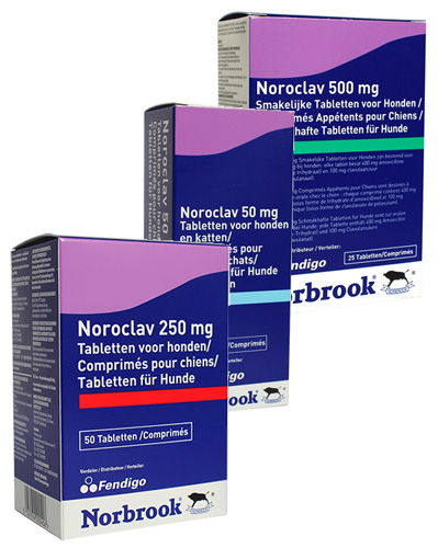 Noroclav tabletten