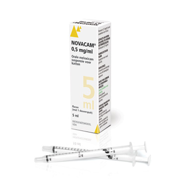 Pakistaans Complex duidelijkheid Novacam 0,5 mg/ml orale suspensie kat | bijsluiter